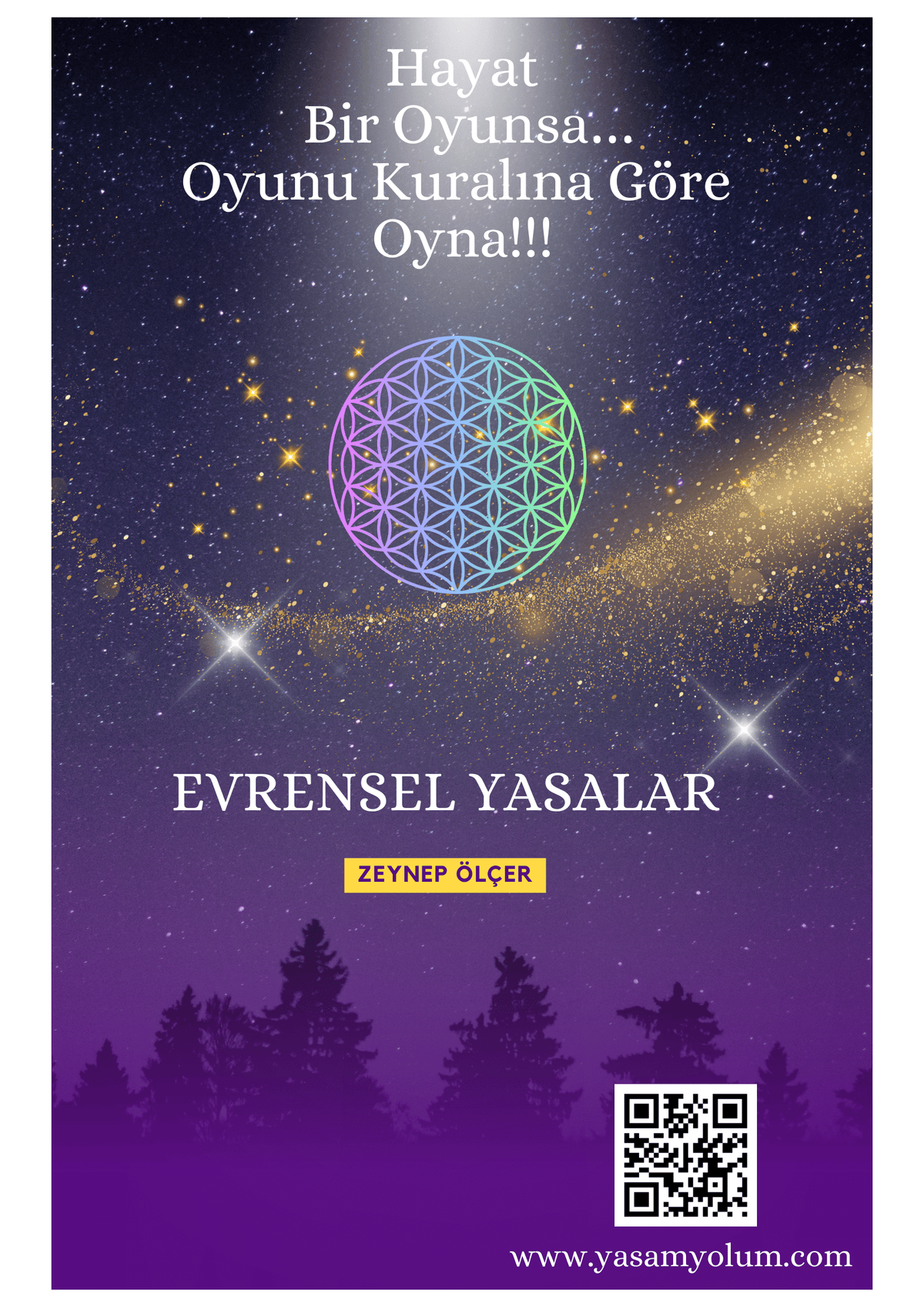 Evrensel Yasalar (PDF ve EPUB) E-Book